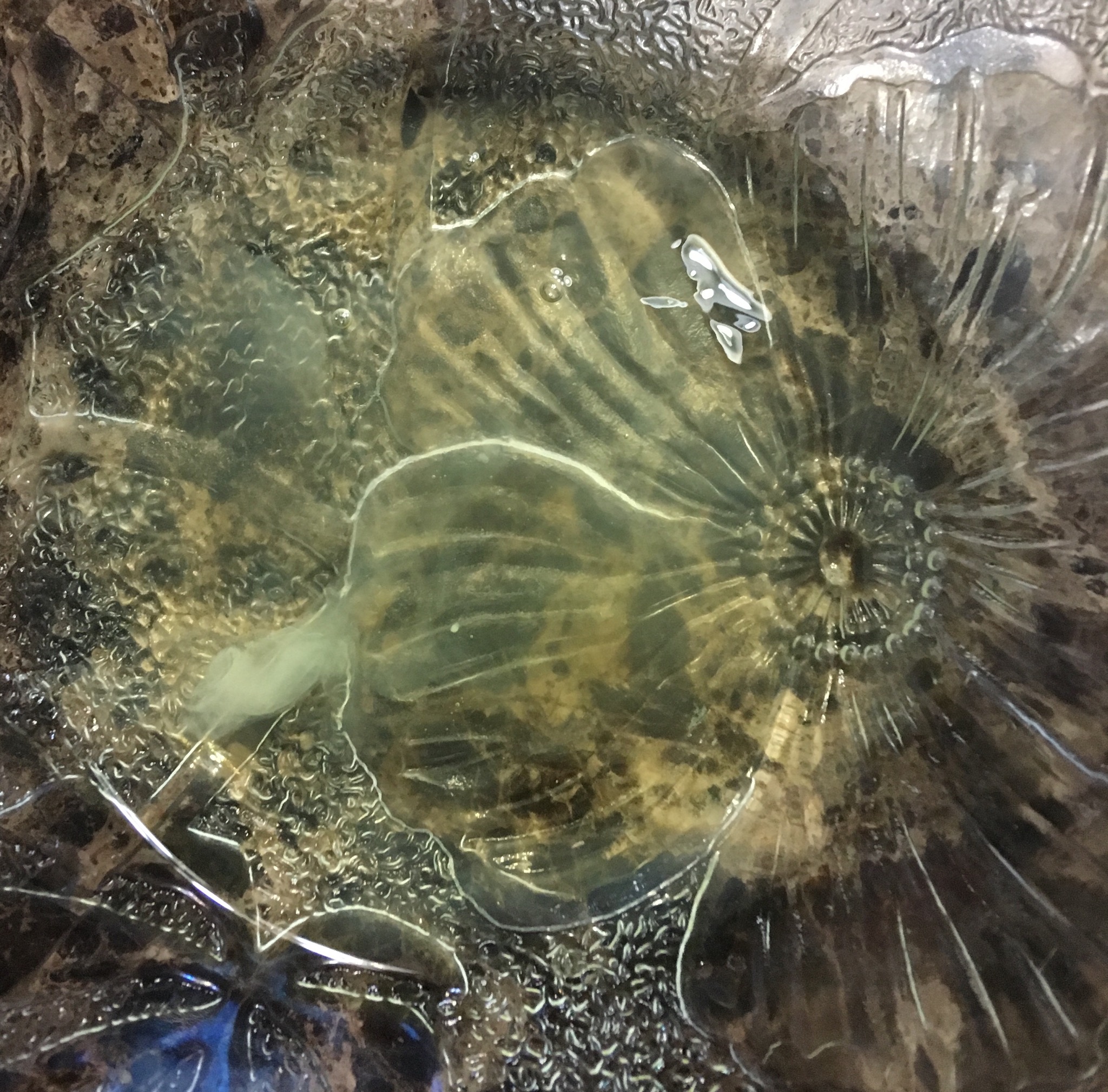 8BC72FBE-6A54-48C9-A90B-80E86AB3038E